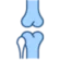 ortopedia ortopedia