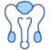 urologia Urologia