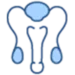 urologia Urologia